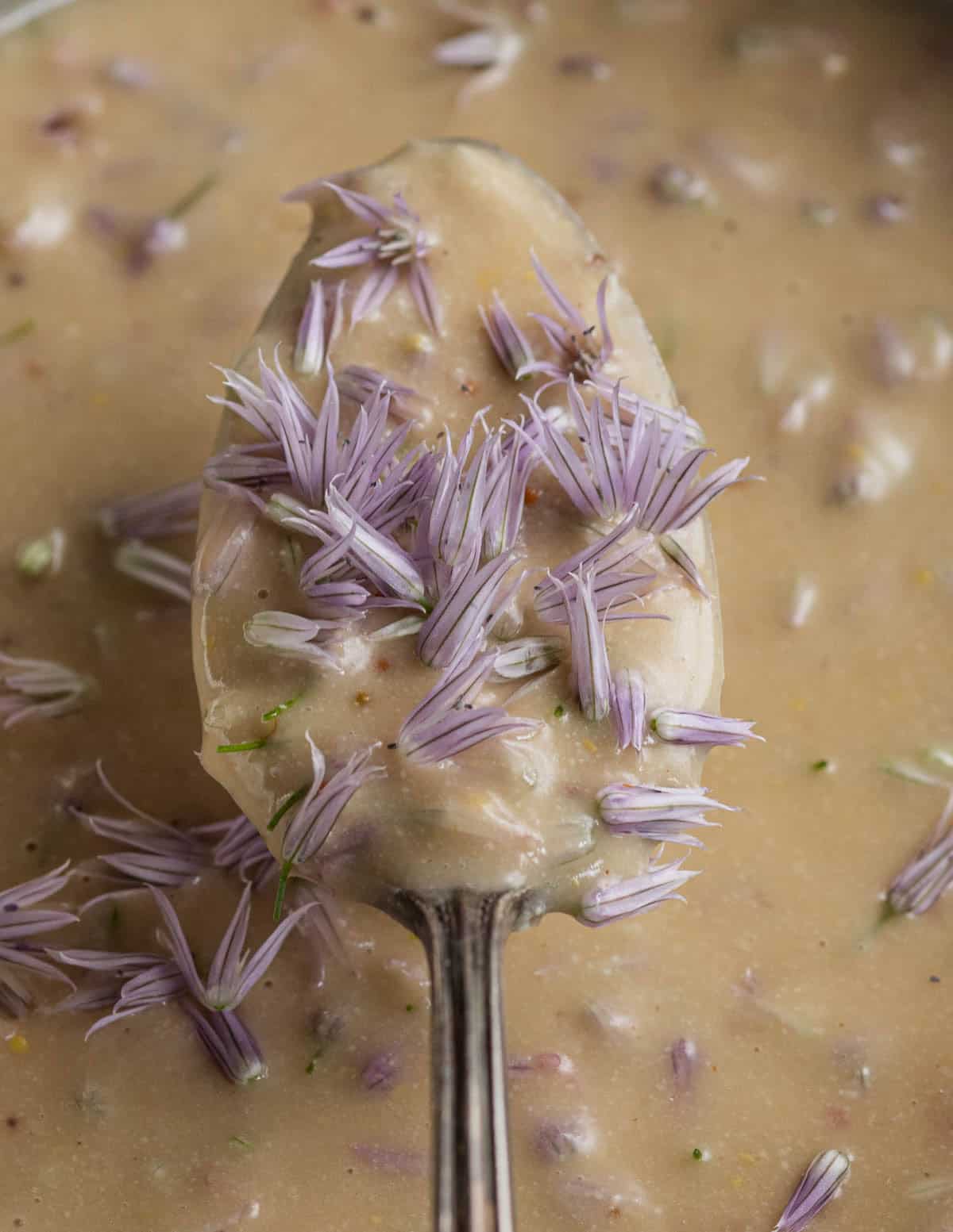 A spoonful of chive blossom vinaigrette sprinkled with fresh chive blossoms.