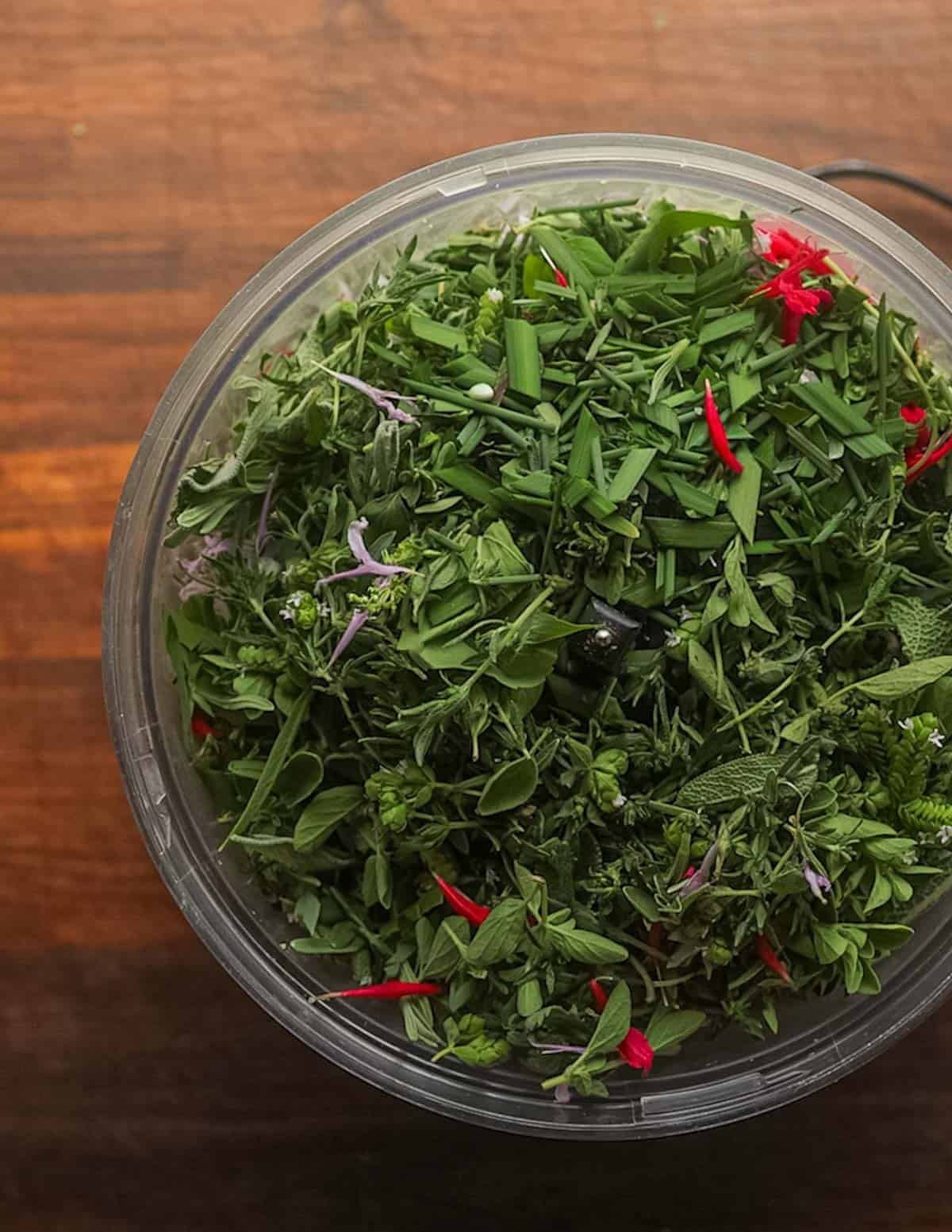 A food processor filled with salt and a large variety of fresh herbs.