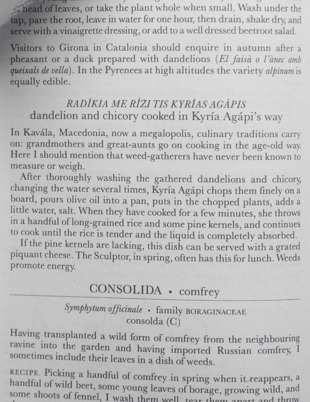 A picture of a Greek recipe for chicory and dandelion leaves cooked with rice from "Honey from a Weed" by Patience Gray.