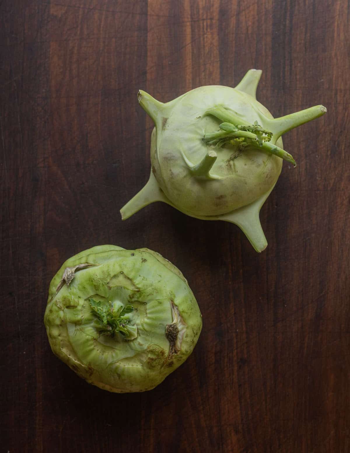 Two kohlrabi bulbs shown side by side to illustrate what to look for when purchasing kohlrabi. One bulb looks dented and warped, while the other is smooth and attractive.