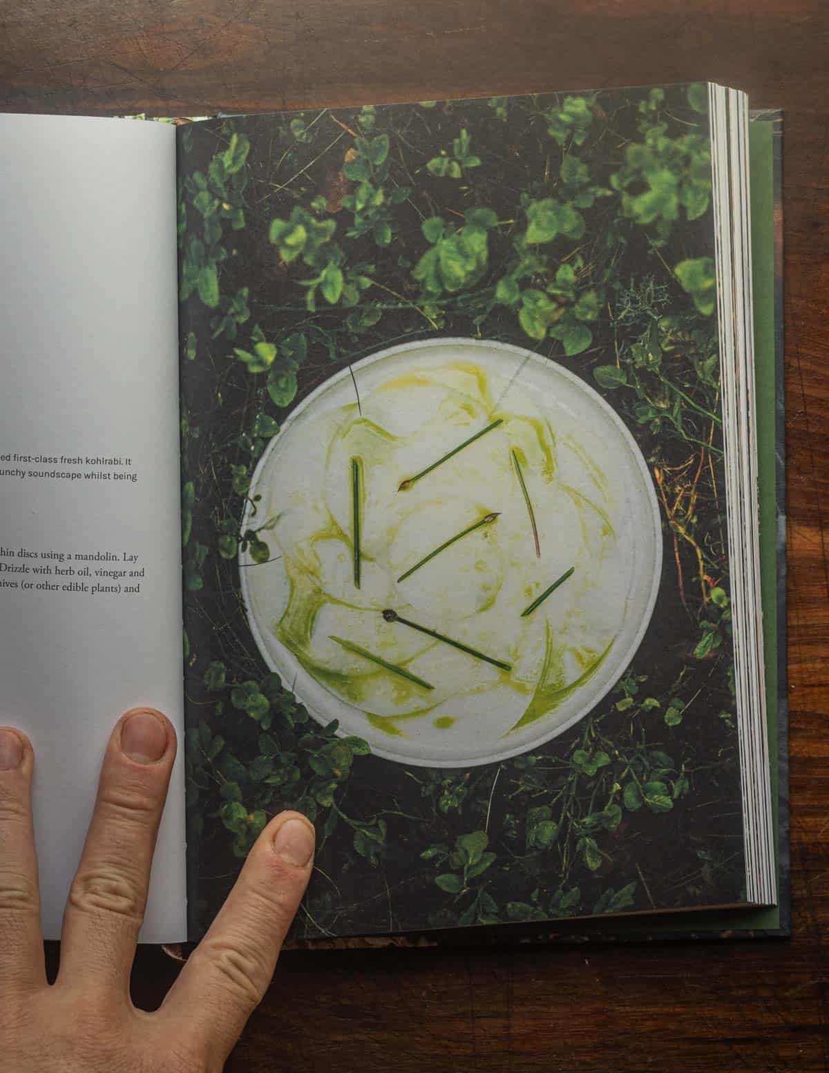 A picture of a kohlrabi salad from Chef Sami Tallberg's book Chef's Wild Nordic.