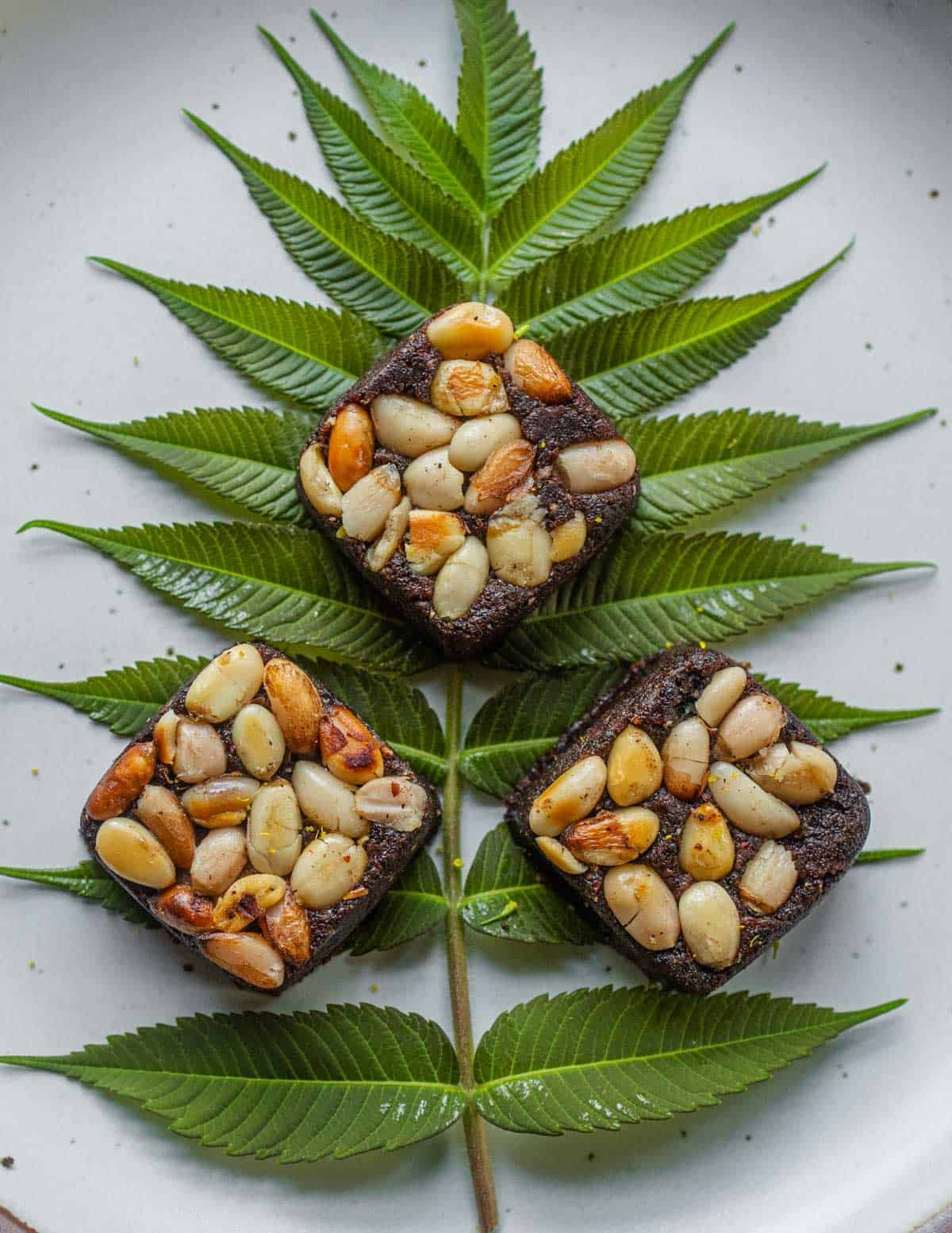Squares of pemmican garnished with wild pine nuts served on a sumac leaf.