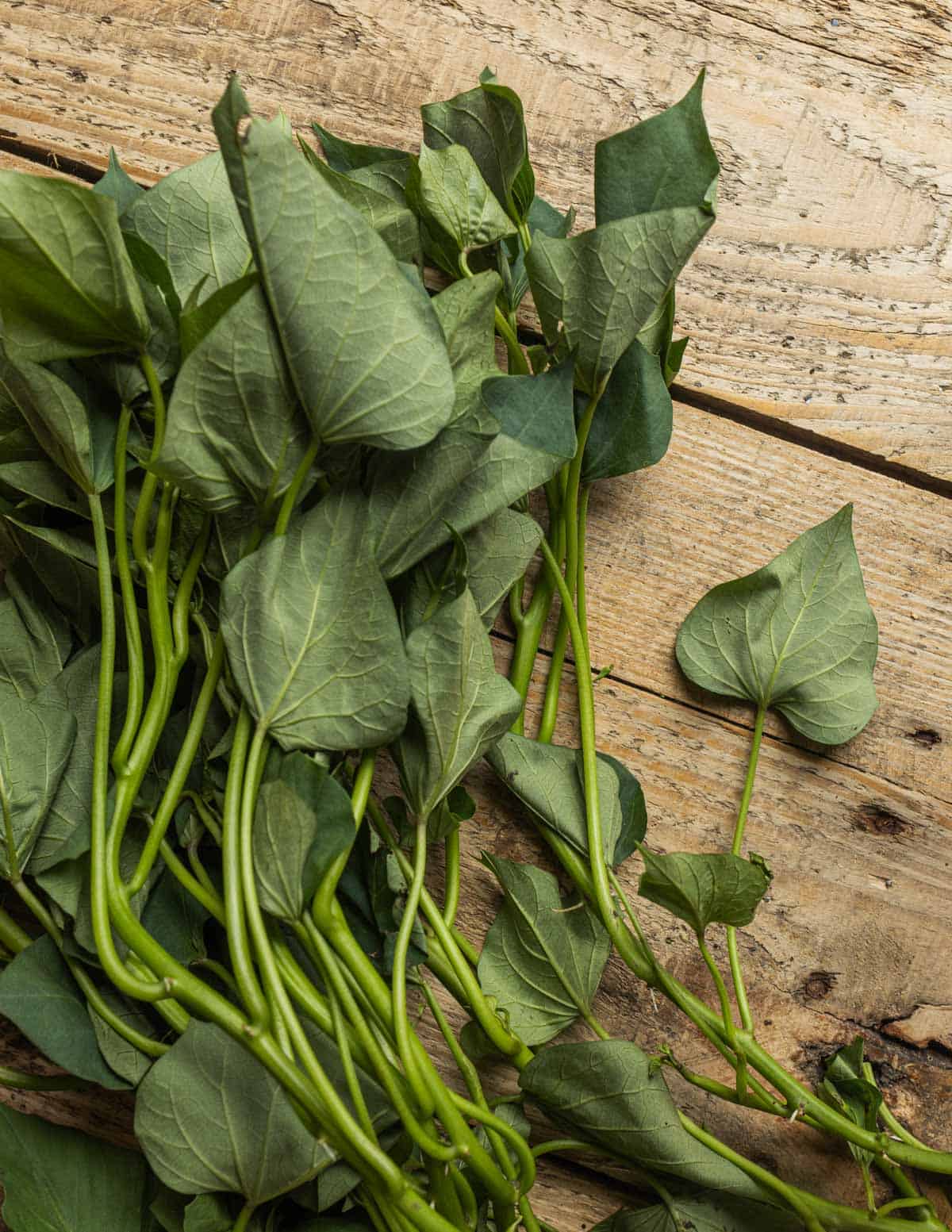 Fresh sweet potato leaves and attached stems laid out on a wood background.