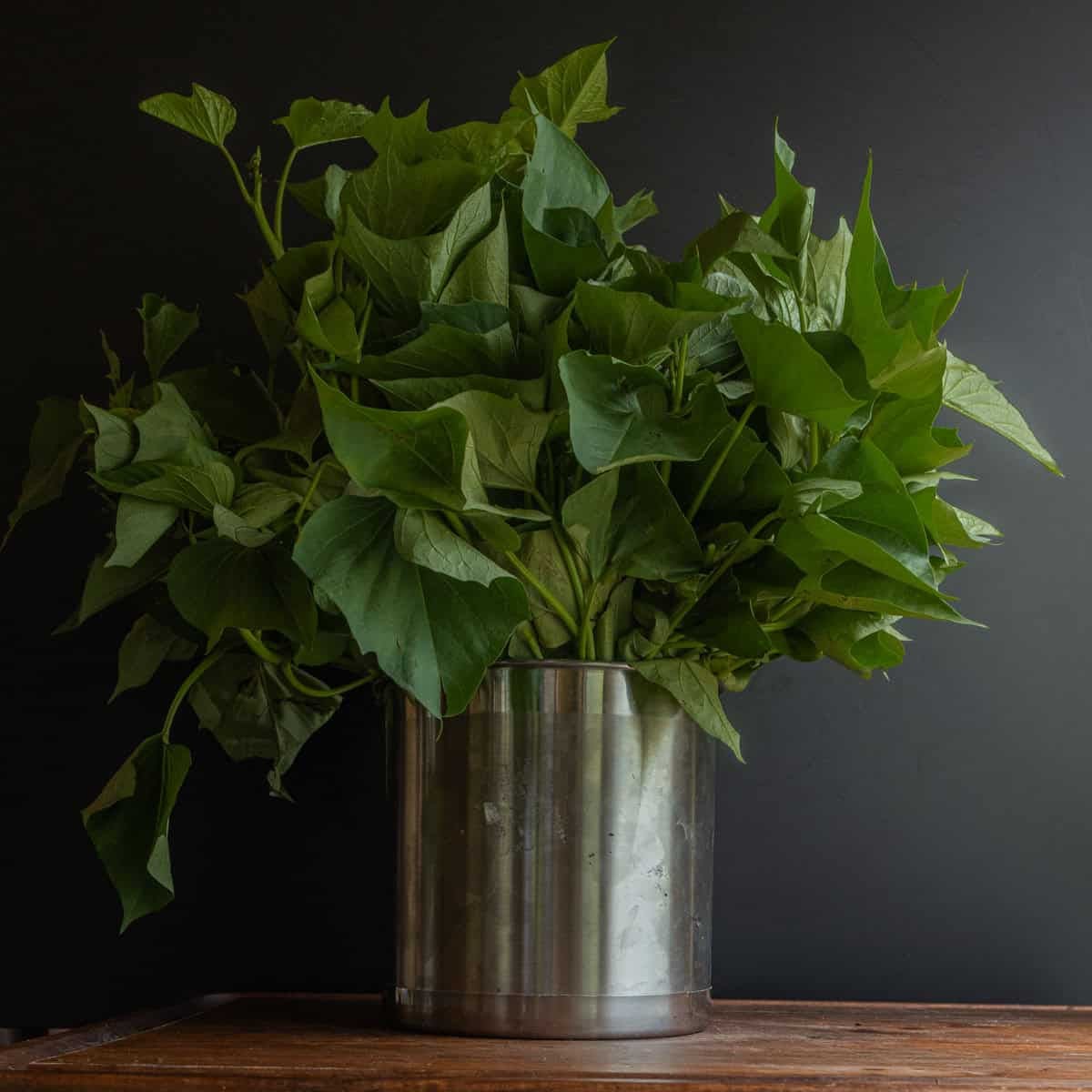 A vase of sweet potato leaves and long stems on a cutting board with a black background.