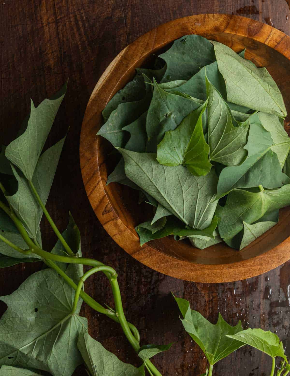 A bowl filled with sweet potato leaves being removed from their stems. and put into a bowl before cooking.