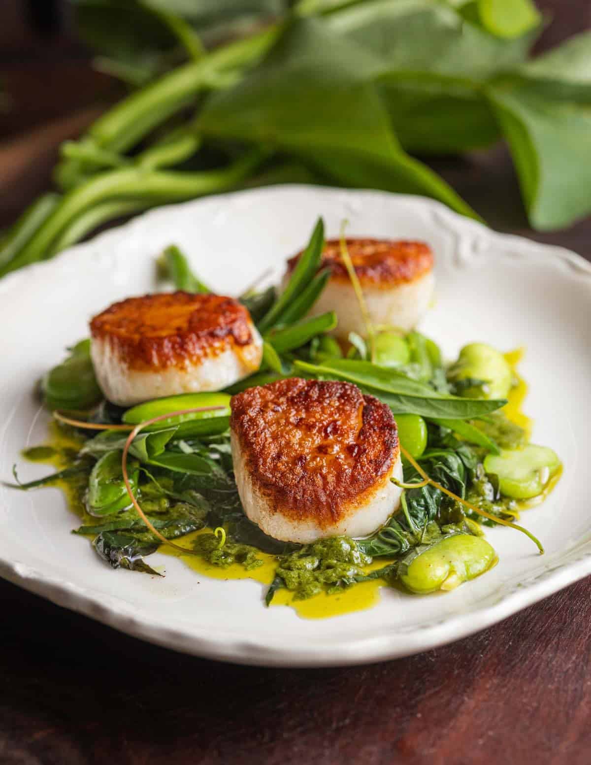 Seared sea scallops with sweet potato vines, favas, mint, ramp butter and lemon.