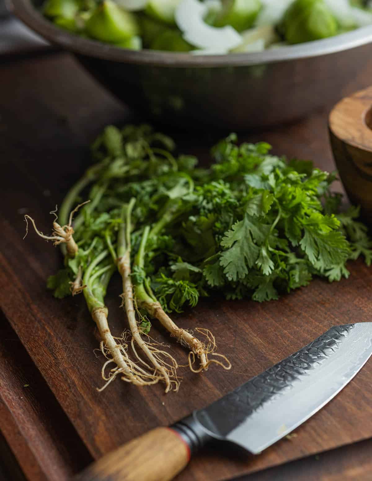 A bundle of cilantro plants with attached roots on a cutting board next to a bowl of salsa and a chef's knife.