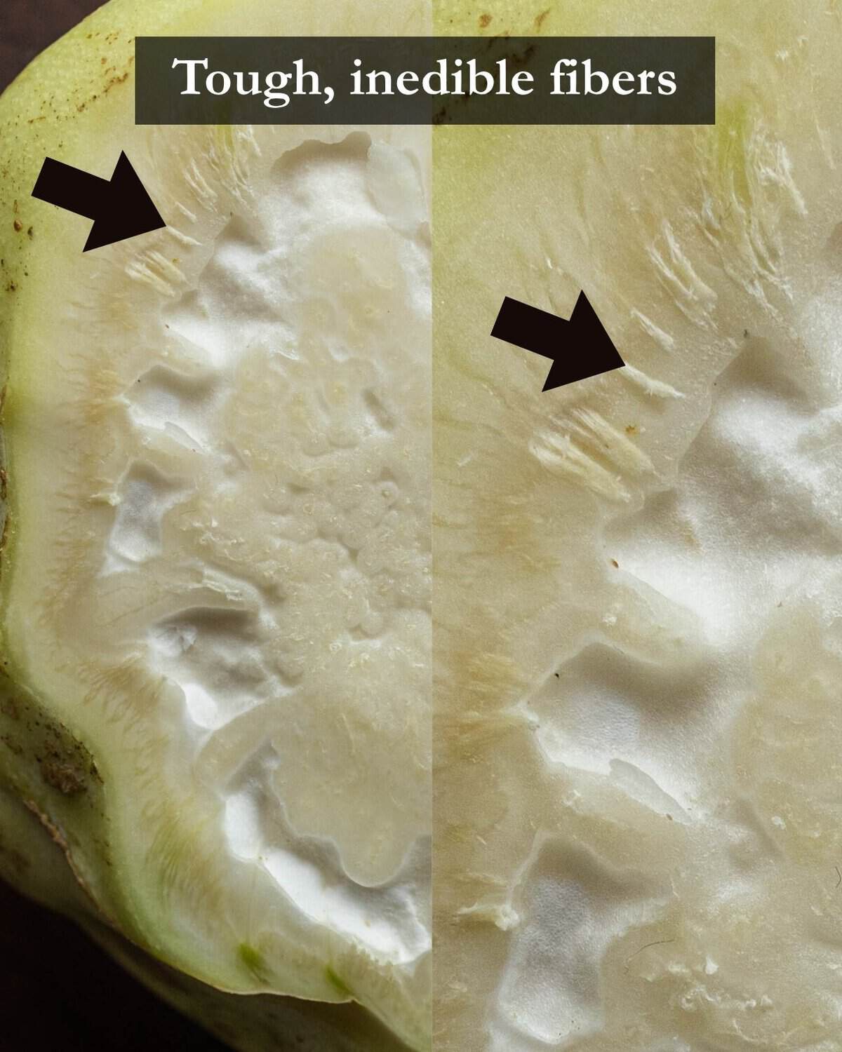 An infographic of two cut kohlrabi bulbs side by side showing expanded close up images of the inedble fibers that can occur in kohlrabi when it's too mature.