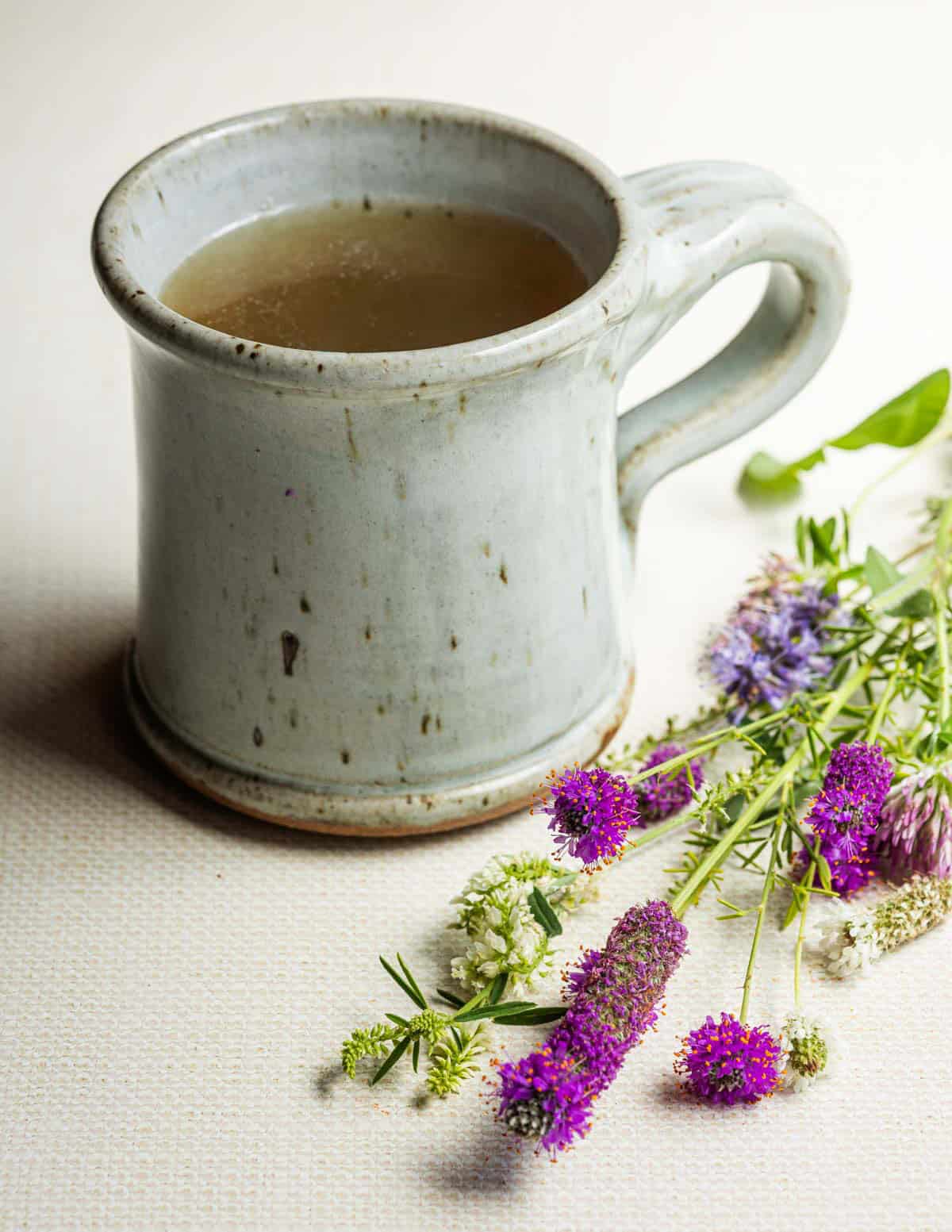 A mug of wild clover tea with fresh purple prairie clover and red clover next to it on a white background.
