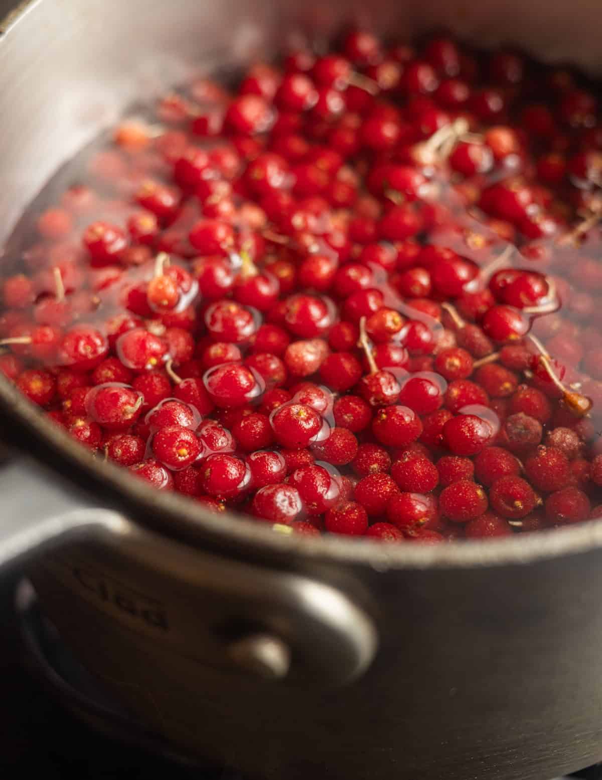 A pan of autumn olive fruit and water being heated on the stove.