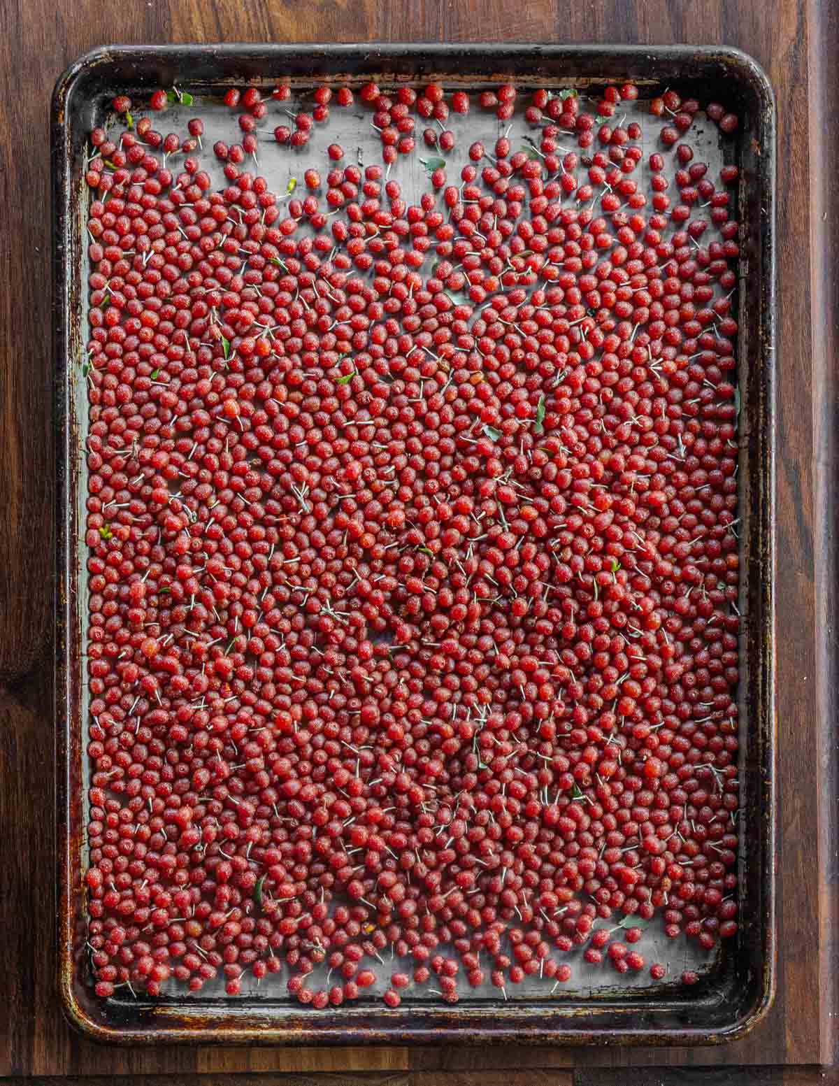 A baking sheet filled with autumn olive fruit after cleaning and removing leaves.