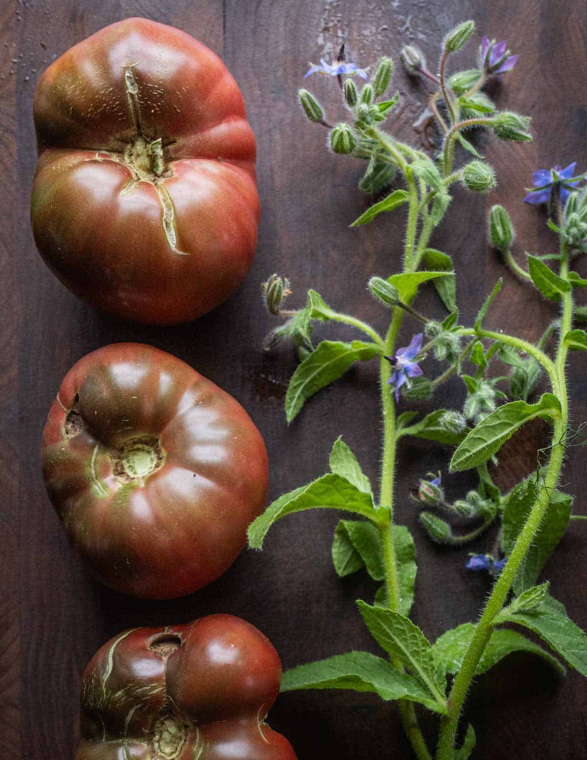 Tomatoes on a cutting board next to borage plants illustrating that the two can be planted together as companion plants.