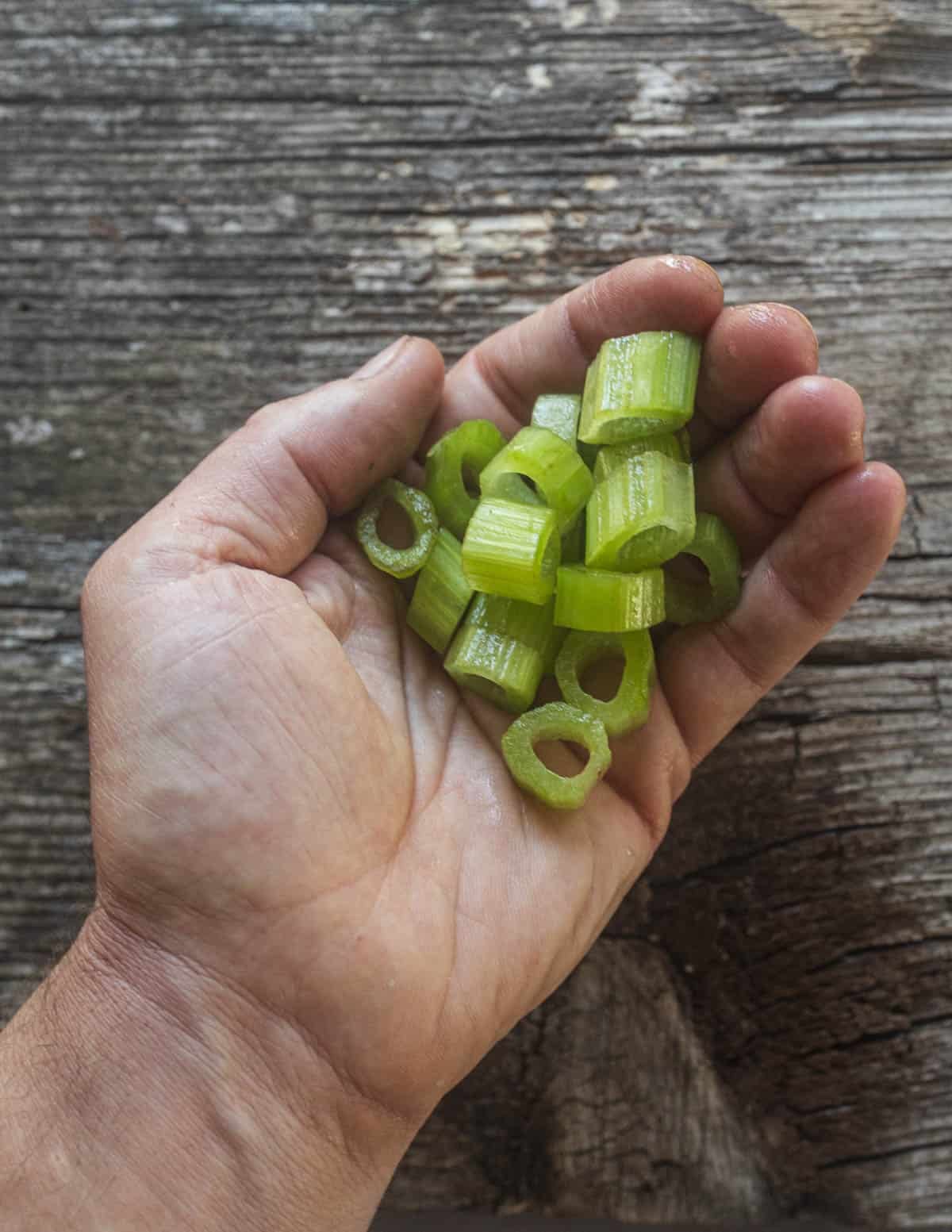 A hand holding peeled hollow borage stems.
