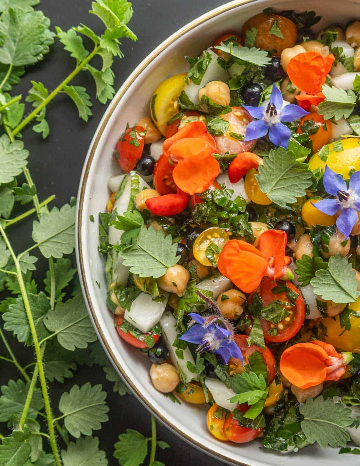A summer vegetable salad with salad burnet leaves, tomatoes, cucumbers, chickpeas and herbs in a bowl surrounded by fresh salad burnet leaves on the stem.