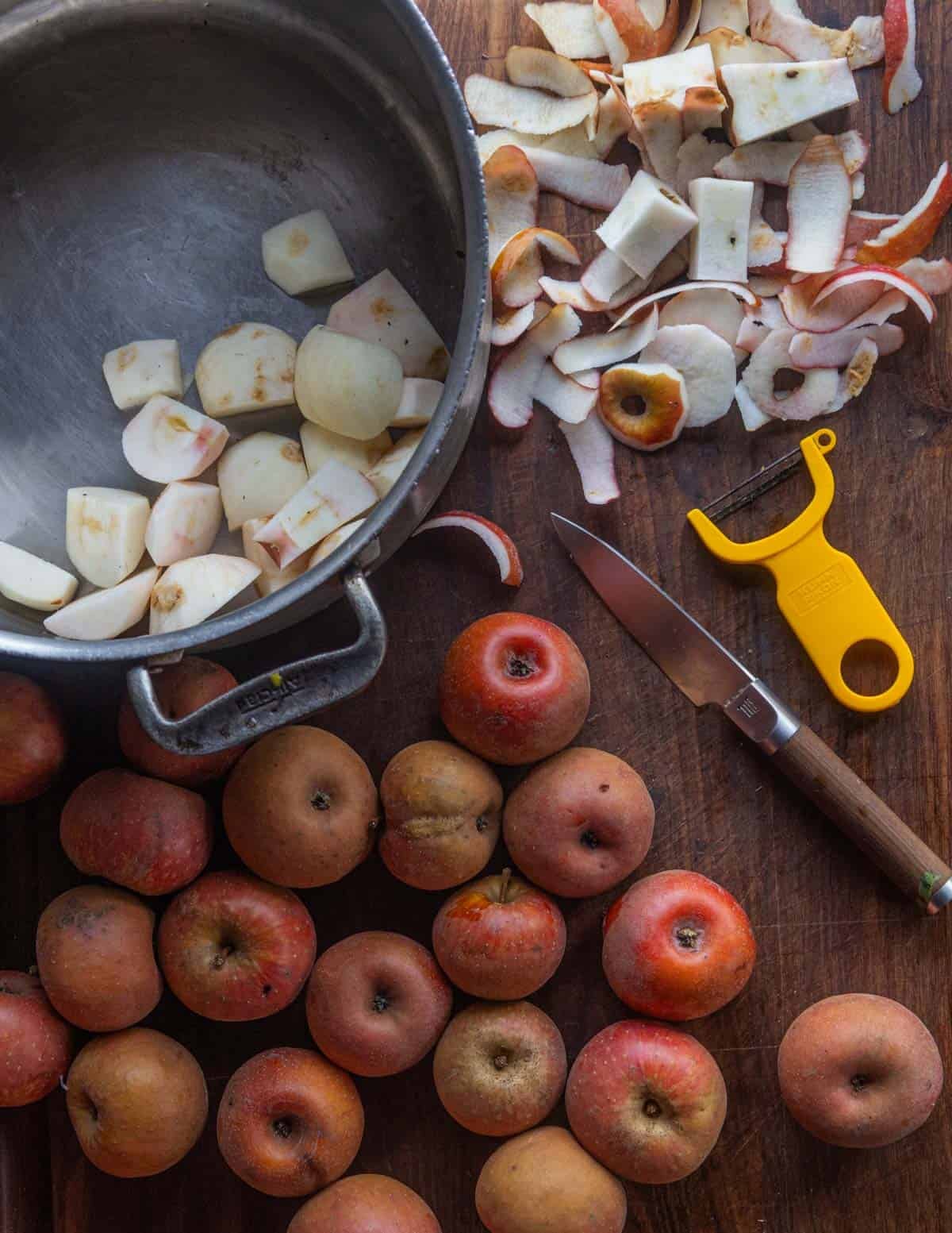 Minnesota russet apples being peeled and put into a large pot after cutting into pieces.