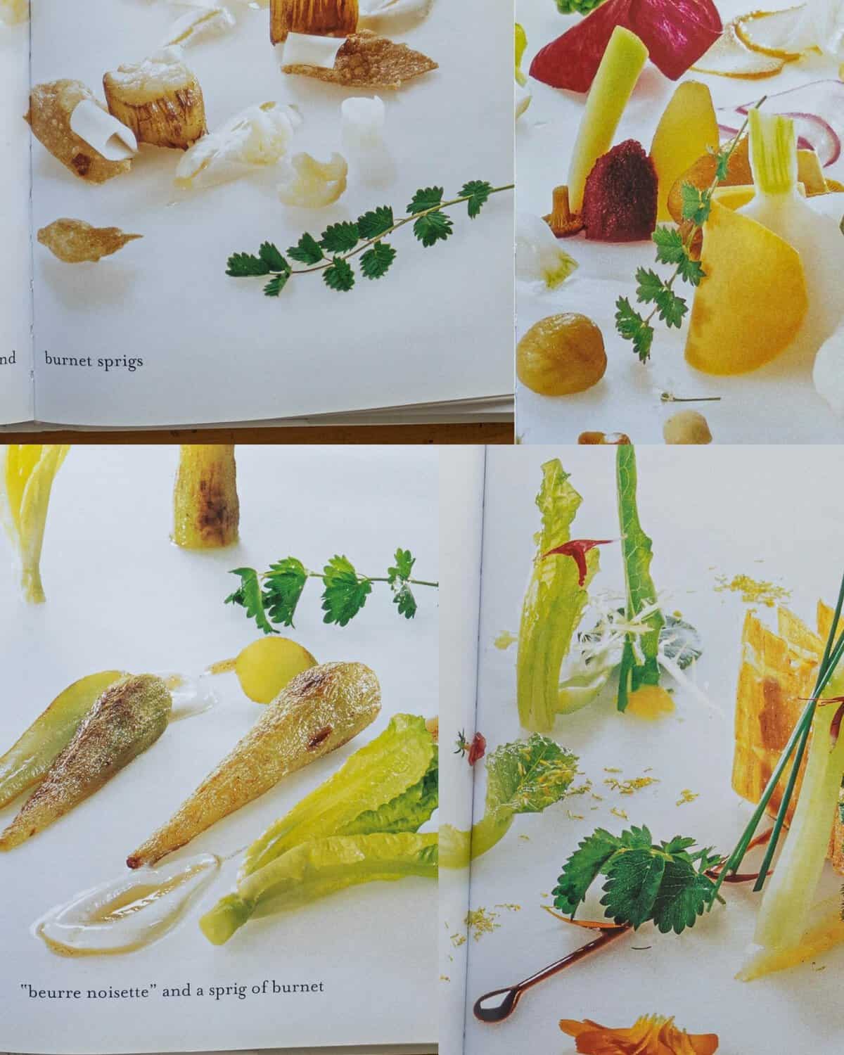 A collage of images from the book Essential Cuisine by Michel Bras showing instances of salad burnet being used in recipes.