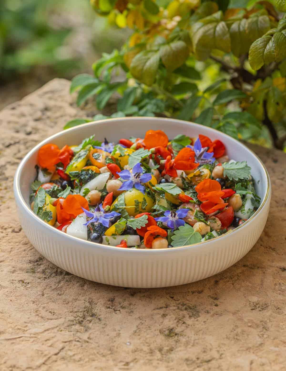 A salad of tomatoes, cucumbers, chickpeas, and herbs with salad burnet greens in a white bowl on a stone bench outside next to a rose plant.